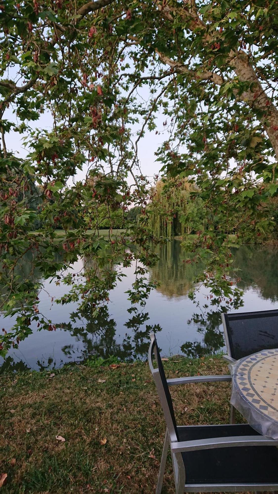 Moulin Du Fief Gentil Bed and Breakfast Blere Buitenkant foto
